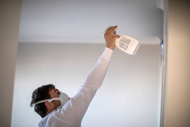 Best Local Mold Removal Service  in Marlin, TX