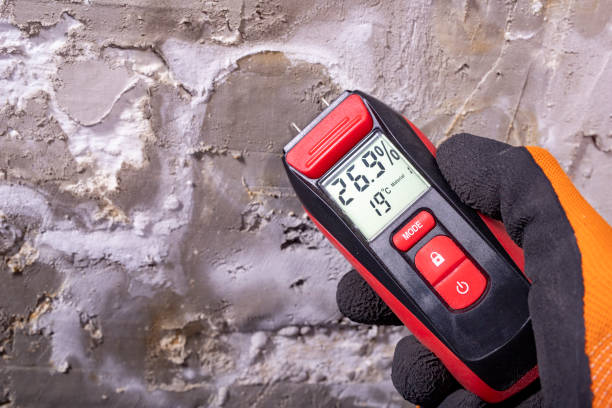 Best Mold Removal Specialists  in Marlin, TX