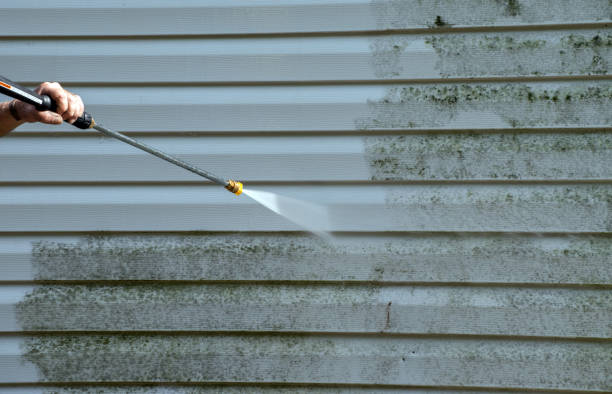 Best Mold Cleaning Services  in Marlin, TX
