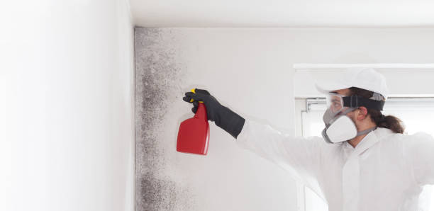 Best Certified Mold Removal  in Marlin, TX