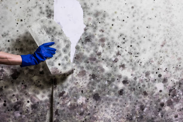 Best Water Damage Restoration  in Marlin, TX