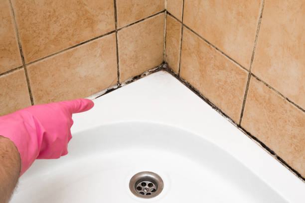 Best Residential Mold Removal  in Marlin, TX